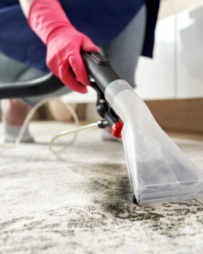 Carpet Cleaning