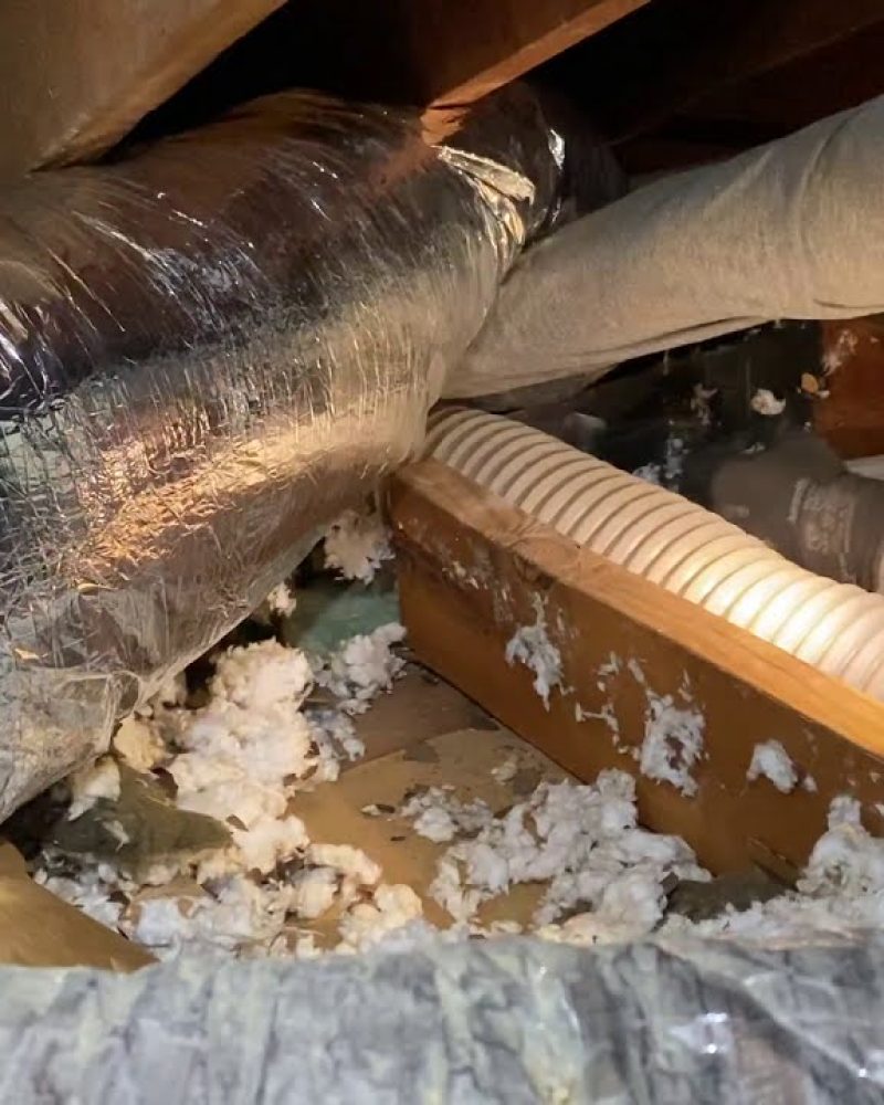 Attic Removal